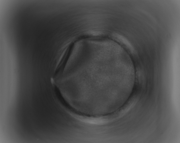 X0000101100024200807101457