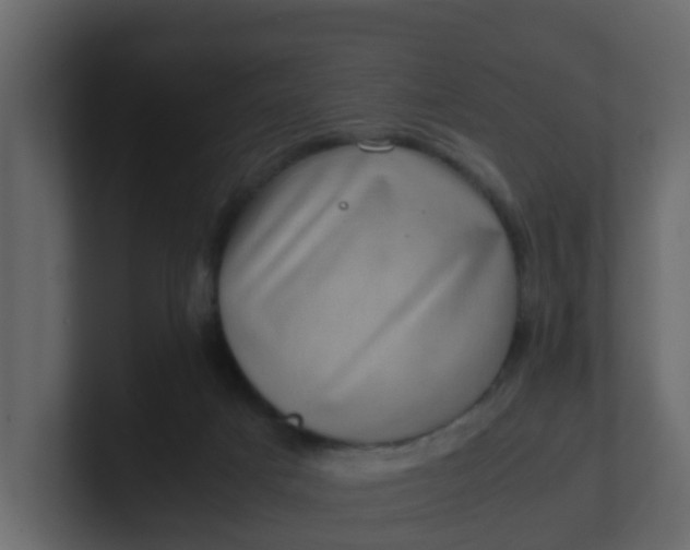 X0000101100025200807101457