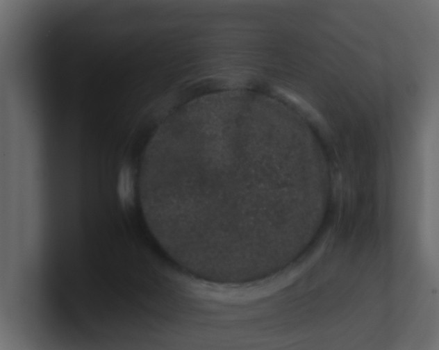 X0000101100026200807101457