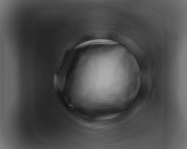 X0000101100028200807101457