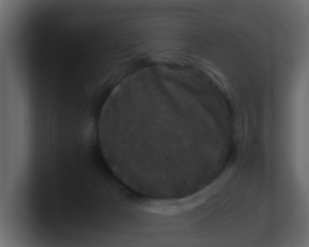 X0000101100029200807101457