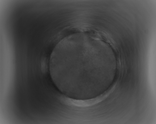 X0000101100030200807101457