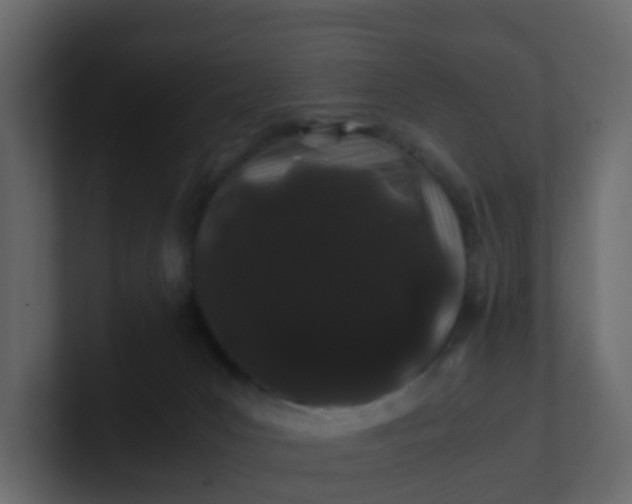 X0000101100031200807101457