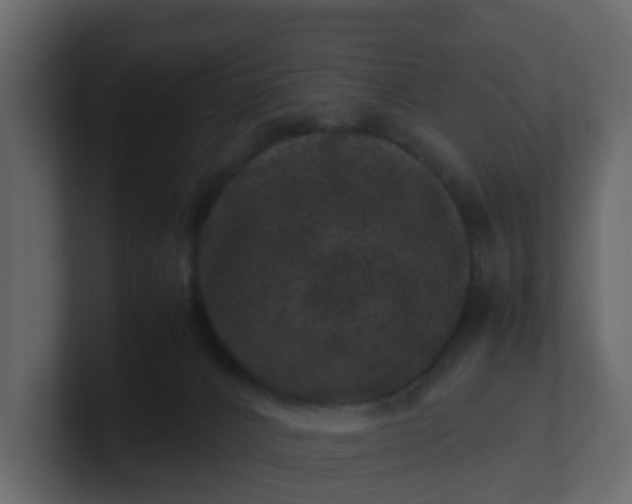 X0000101100032200807101457