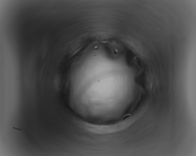 X0000101100034200807101457