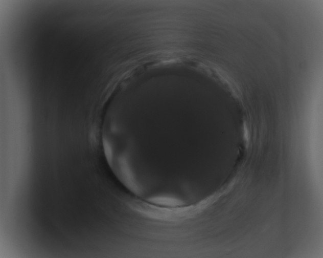 X0000101100035200807101457