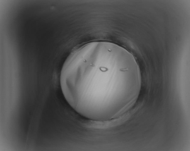 X0000101100037200807101457