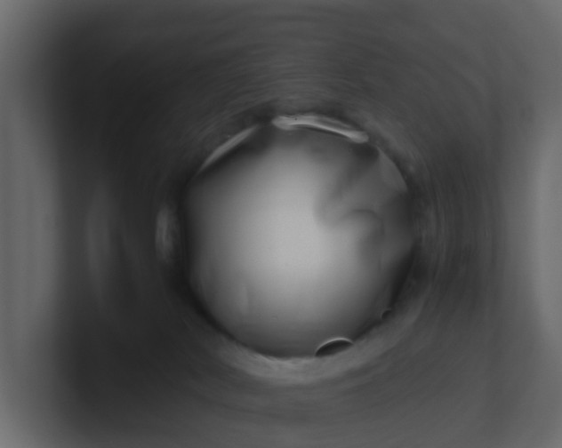 X0000101100038200807101457