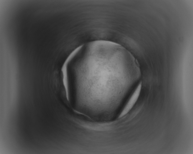 X0000101100040200807101457