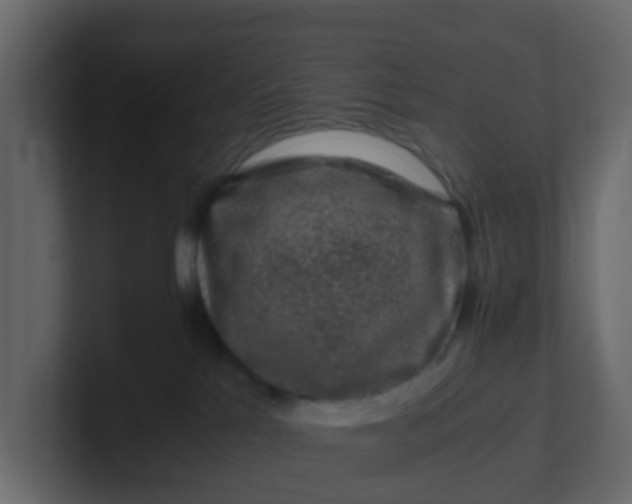 X0000101100041200807101457