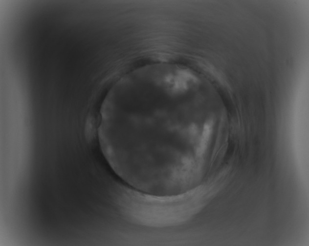 X0000101100043200807101457