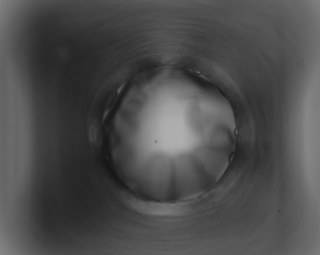 X0000101100044200807101457