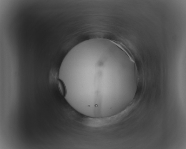 X0000101100045200807101457