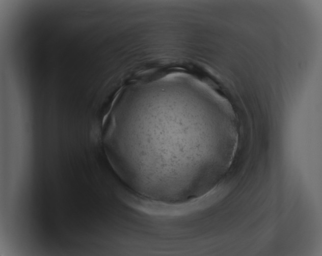 X0000101100048200807101456