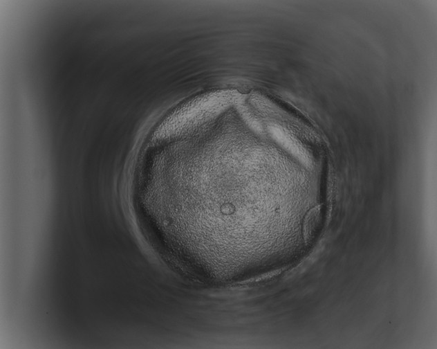 X0000101100049200807101456