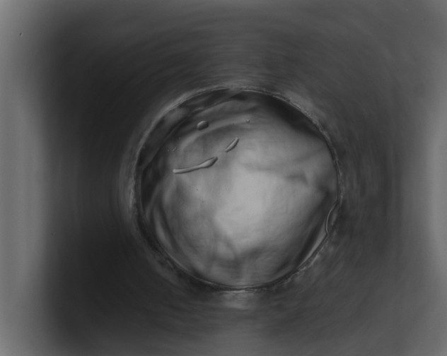 X0000101100050200807101456