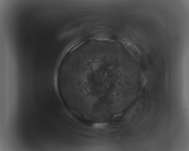 X0000101100051200807101456