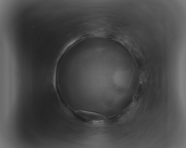 X0000101100052200807101456