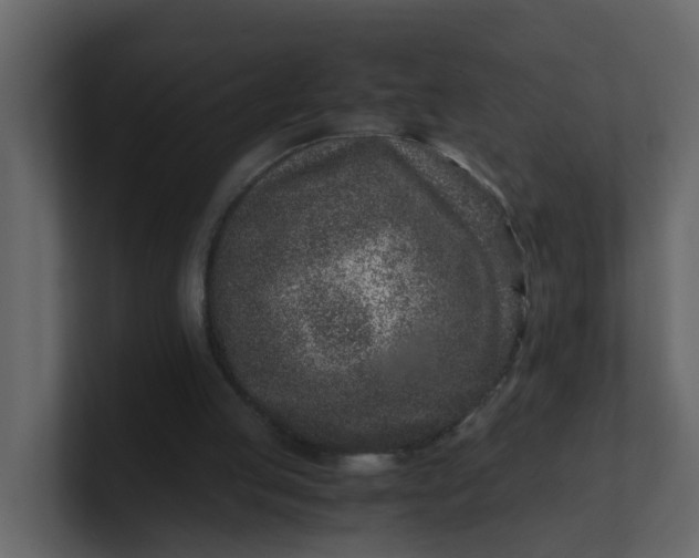 X0000101100053200807101456