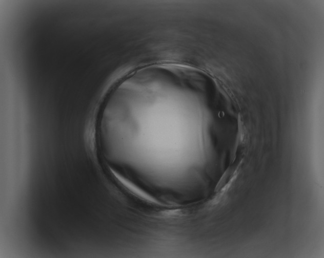 X0000101100054200807101456