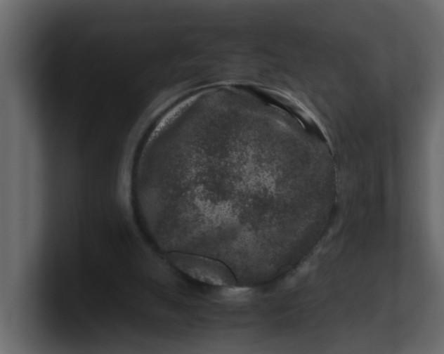 X0000101100055200807101456