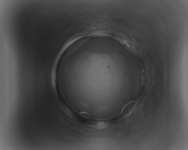 X0000101100056200807101456