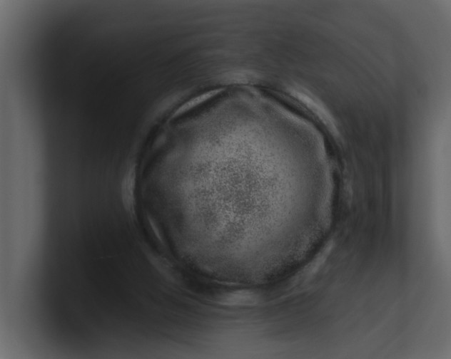 X0000101100058200807101456