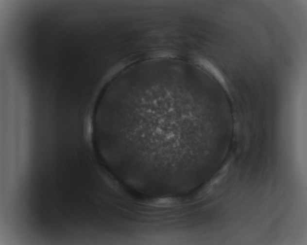 X0000101100059200807101456