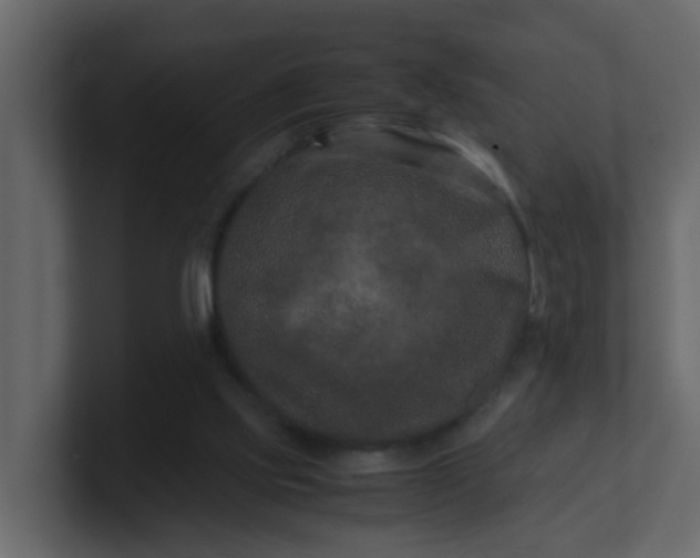 X0000101100061200807101456