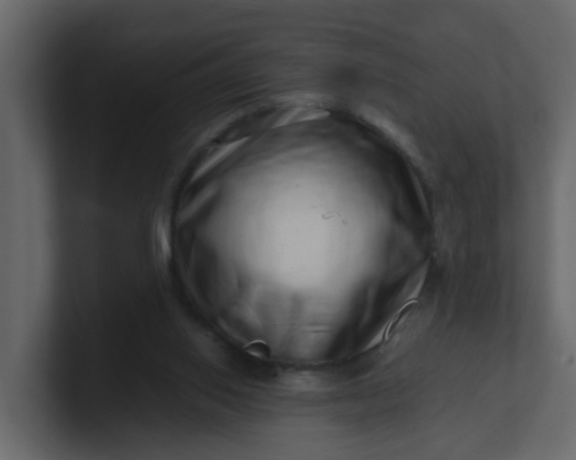 X0000101100062200807101456