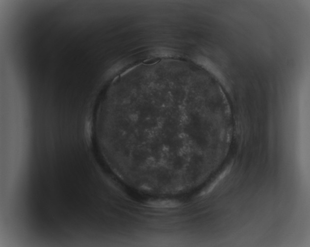 X0000101100063200807101456