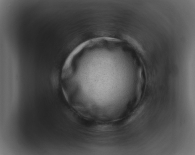 X0000101100065200807101456