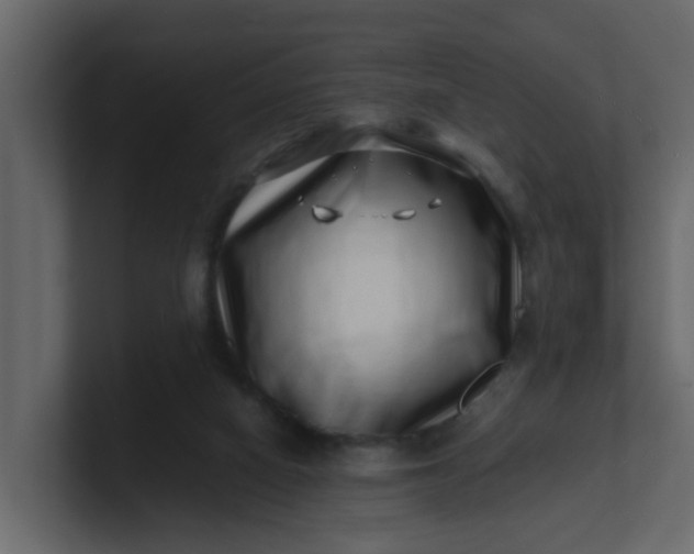 X0000101100066200807101456