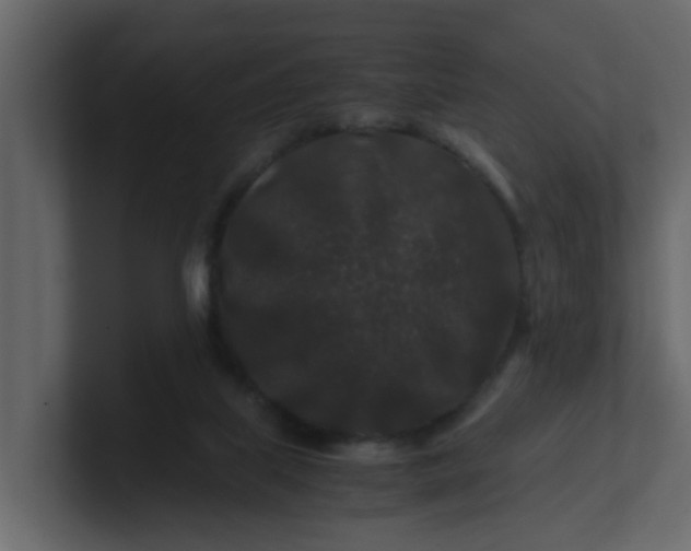 X0000101100067200807101456