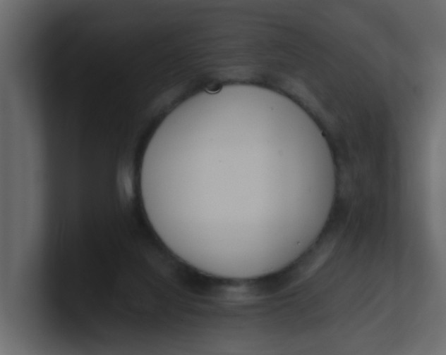 X0000101100068200807101456