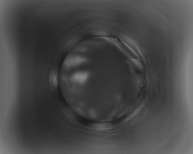 X0000101100069200807101456