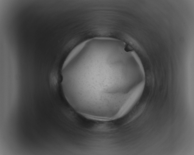 X0000101100072200807101456