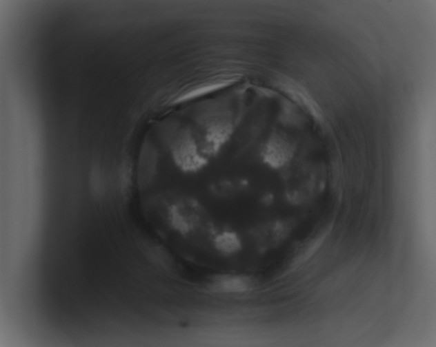 X0000101100073200807101456