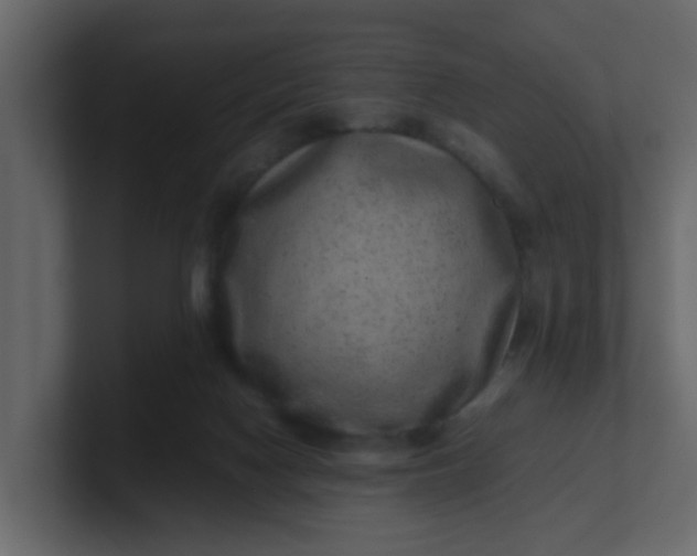 X0000101100074200807101456