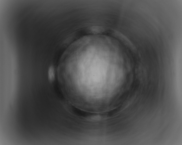 X0000101100075200807101456