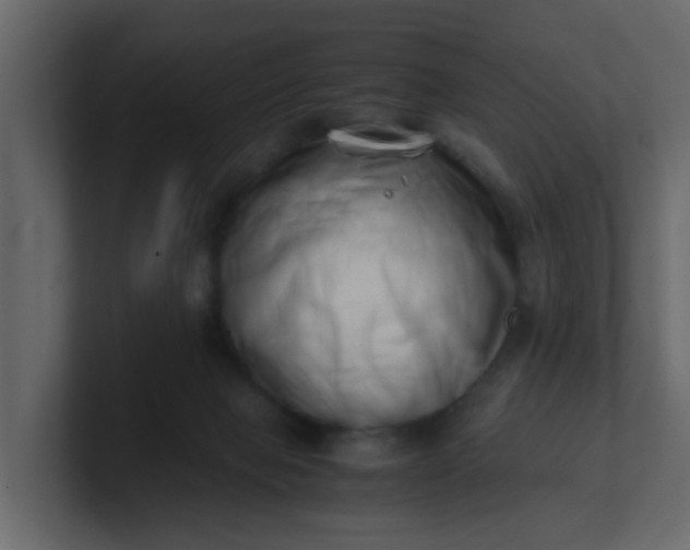 X0000101100077200807101456