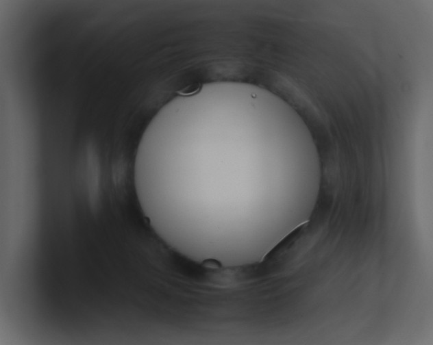 X0000101100079200807101456