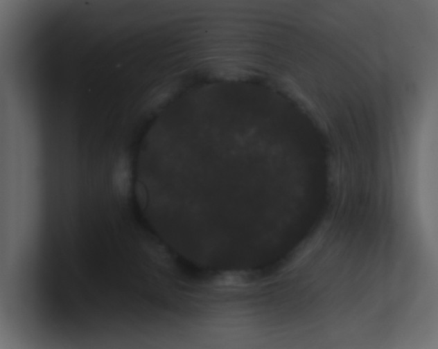 X0000101100080200807101456