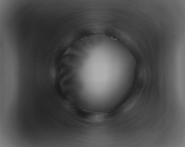 X0000101100084200807101456