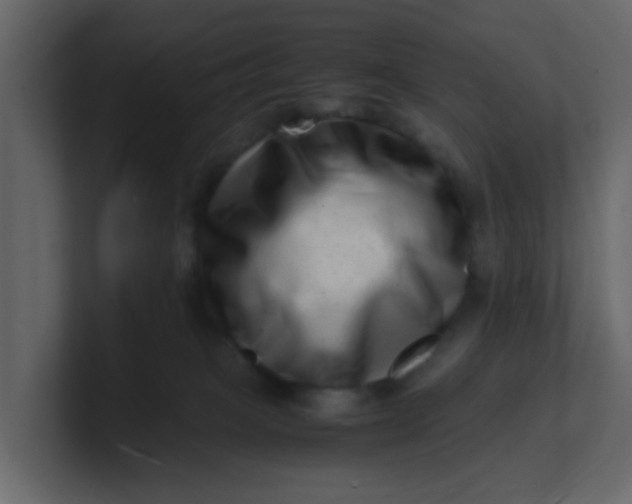 X0000101100085200807101456