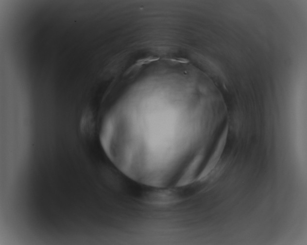 X0000101100086200807101456