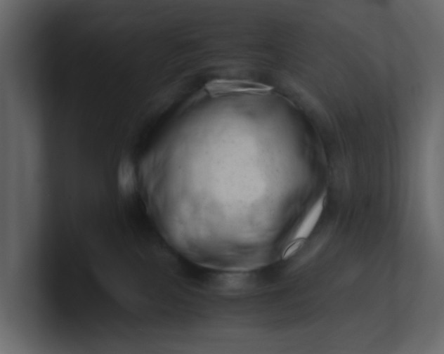 X0000101100089200807101456