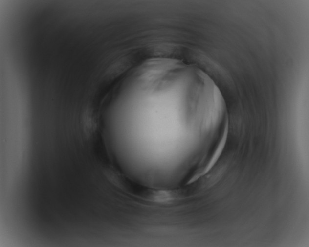 X0000101100091200807101456