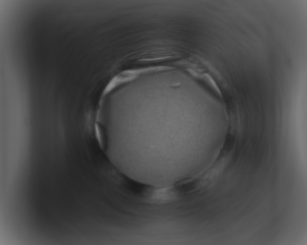 X0000101100093200807101456