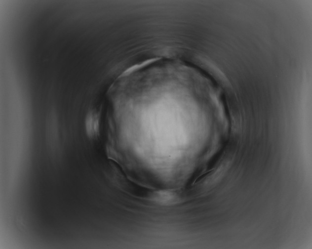 X0000101100095200807101456